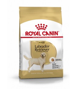 Royal Canin Labrador...
