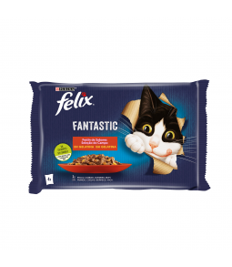 FELIX FANTASTIC SABORES DO...