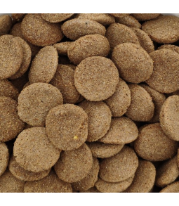 Spike Cão Adulto – Ração...