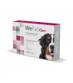 WePatiCare Raças Medias e...