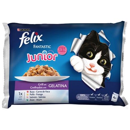 FELIX FANTASTIC JUNIOR